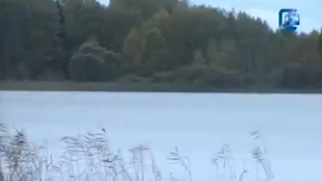 Махинации с землей в Солнечногорском районе.