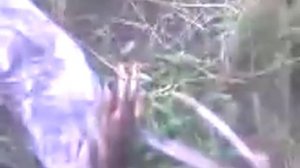 В Оренбургской области застрелили Чупакабру