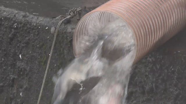 Десна-ТВ: Зарыбление десногорского водохранилища смотреть онлайн