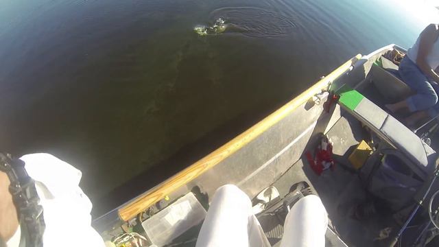 Охота на жереха с вертушкой СуперКаст смотреть онлайн