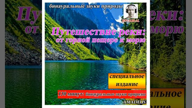 Пляж галечный с морских птиц: звуки природы (Bonus Track)