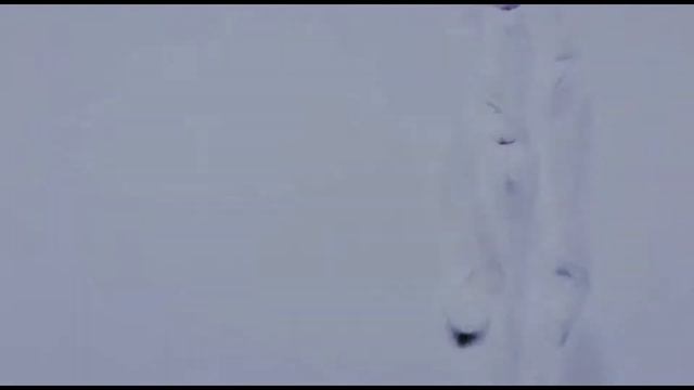 Протяжка сетей подо льдом торпедой смотреть онлайн