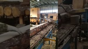 Пила на ЦДС.Кара.Лаймет.Малома