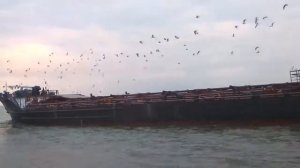 Теплоход Нефтерудовоз-51'м.