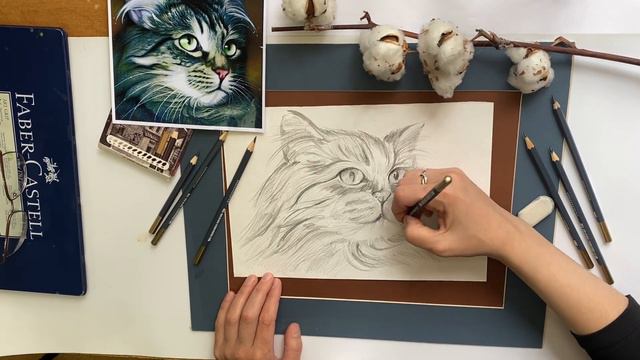 Мысықтың суретін оңай саламыз #какнарисоватькота #суретсалыпуйрену