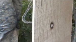 Стекломагниевый лист Ecolist - ecolist заменяет все листовые отделочные материалы