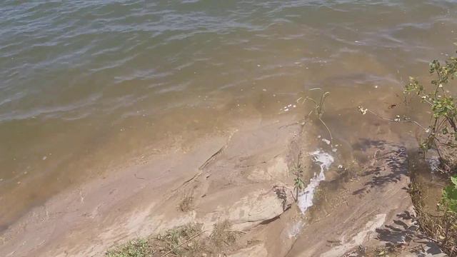 Ставок Рясное в с. Грузско-зорянское г. Макеевка Донецкая область Украина (ДНР). Июнь 2018 г. смотреть онлайн