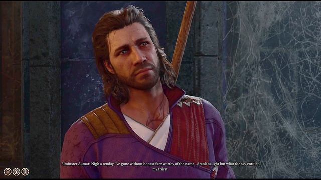 Baldur's Gate 3 - Gale runs into Elminister смотреть онлайн