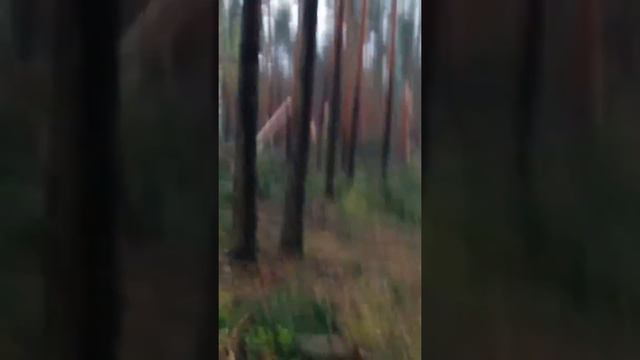 Ураган на Бакшеево смотреть онлайн