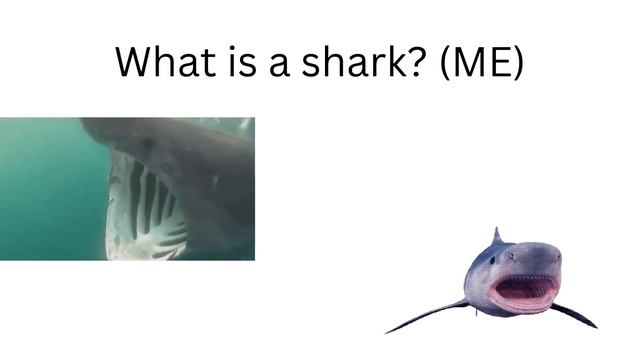 How to buy roblox limiteds for cheap on Roblox (TUTORIAL) смотреть онлайн