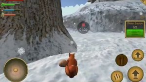 Белка летяга