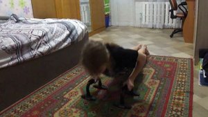 упражнения на упорах Kettler, отжимания на упорах, стойка на упорах, и упражнения для пресса