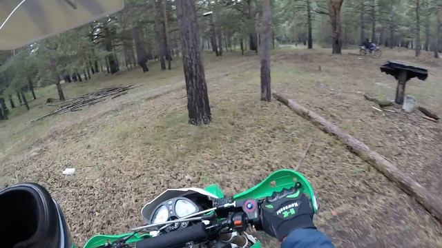 По лесу ирбис ттр 250 р смотреть онлайн