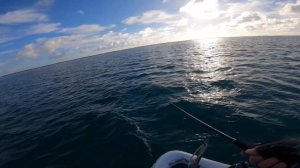 Рыбалка в мангровых зарослях! Как и кого можно поймать на Кубе? Часть 2 /Fishing Travel/Артем Мишин