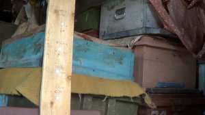 иж 61 pcp  доску на вылет