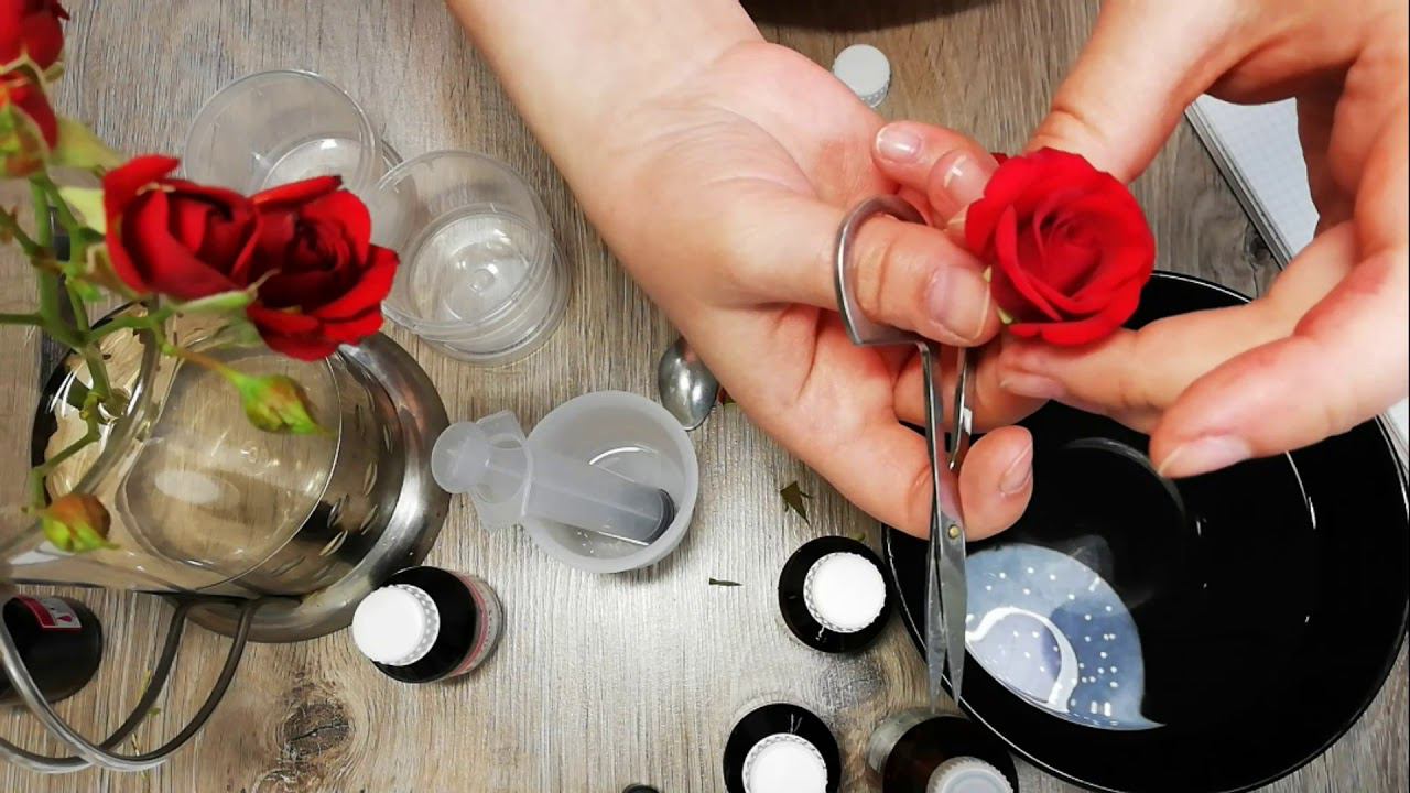 Сухие цветы в глицерине. Стабилизировать розы в глицерине. Стабилизированные розы в глицерине. Консервация цветов в глицерине. Стабилизированные цветы в глицерине.