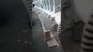 Корытная мойка  МК-14 для мойки руды, щебня и др. материалов