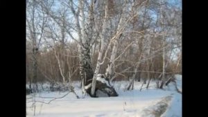 С.Есенин "БЕРЁЗА" (РЭП)