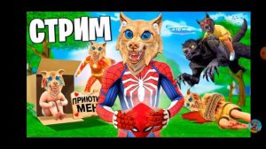 Куда пропал тофлекс вся правда в видео