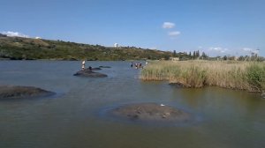 Грязевое озеро. Голубицкое