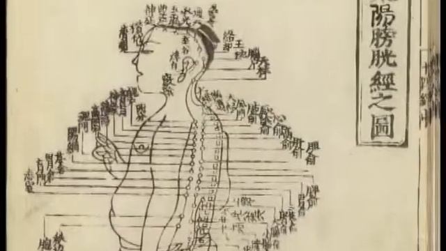 Центр Восточной Медицины г Биробиджан смотреть онлайн