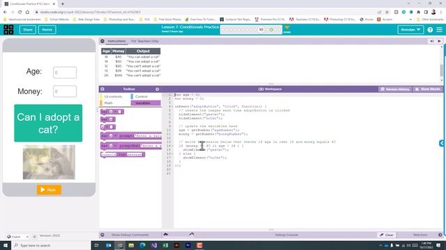 Code.org Unit 4 Lesson 7.10 - Can I Adopt a Cat | Conditionals Practice смотреть онлайн
