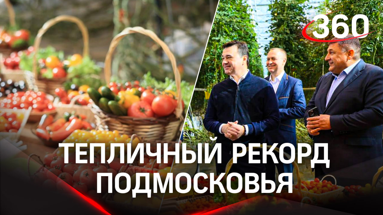 Более 5 тысяч тонн овощей: новый тепличный комплекс в Подмосковье