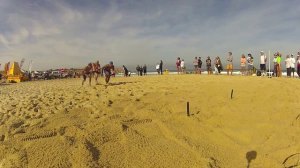 2012 SA Surf Lifesaving Championships - Beach Flags