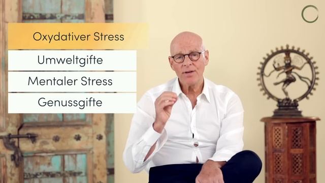 Älter werden ohne zu altern? Geheimwaffe Immunsystem смотреть онлайн