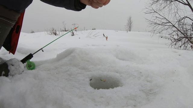 Что делает хариус 31.12.