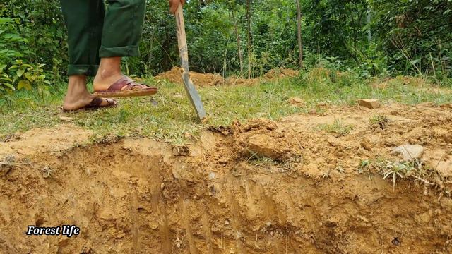 Dig a fish pond in the forest, go back to the old shack and release the fish смотреть онлайн