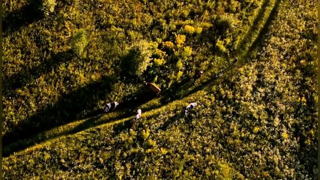 Полет на воздушном шаре!