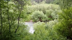 Лесная речка Ушайка. Окрестности г.Томска.