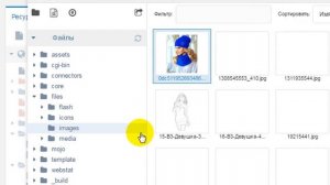 Видео инструкция загрузка фото на Modx