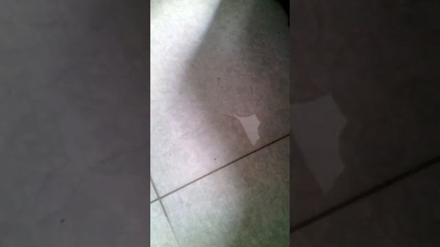 Иркутск жемчужный