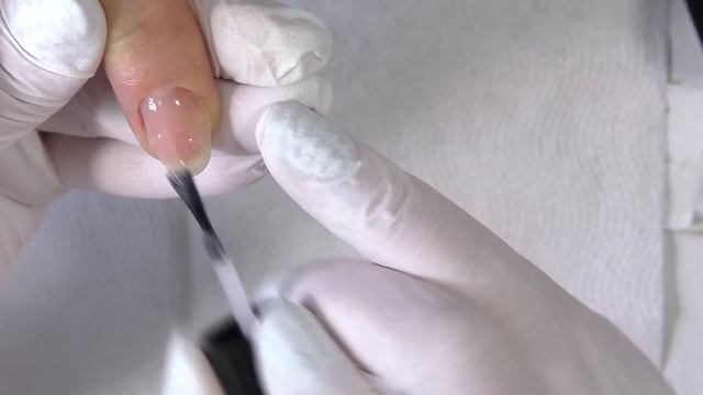 ХРОНИКА за полгода! Автор ролика - БАЛДА, а зрители - ОВЦЫ с КУРИНЫМИ мозгами. PRO BEAUTY SPACE смотреть онлайн