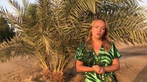 Где лучше отдыхать месяц, в Египте или Таиланде?