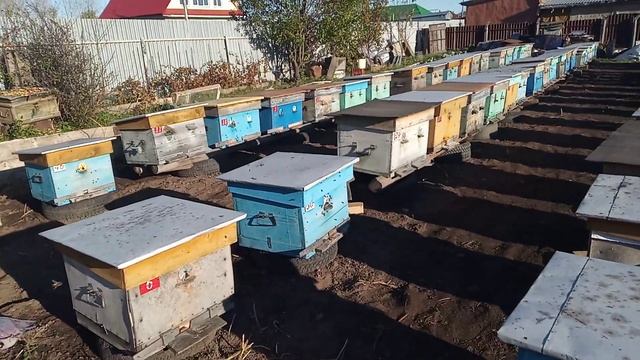 Направление летков весной и осенью . смотреть онлайн