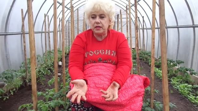 ЧТО ДОБАВИТЬ В ЛУНКУ ПРИ ВЫСАДКЕ ТОМАТОВ? ВСЕ ВАРИАНТЫ. Ольга Чернова.