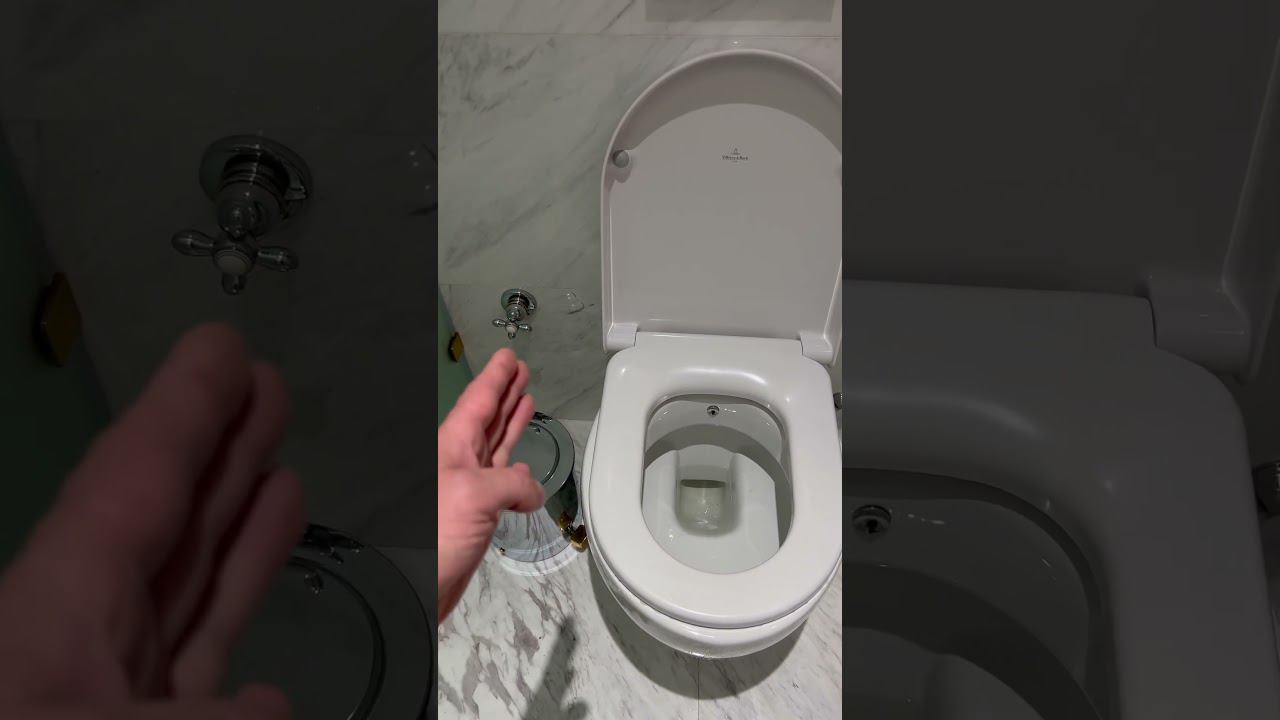 Унитаз с встроенным гигиеническим душем смотреть онлайн