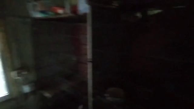 Утепляем будки собакам ? убираемся, кормим, выгуливаем, производим мелкий ремонт на передержке. смотреть онлайн