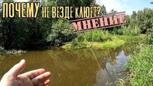 Мормышинг. Почему не везде клюет одинаково хорошо? МНЕНИЕ