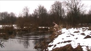 Зимой на летнюю удочку за пескарём! Реальная рыбалка!