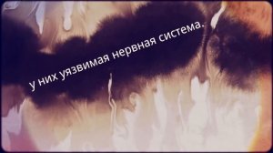 Значение имени Аврора