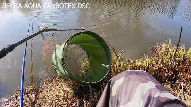 ЛЕСКА AQUA CARBOTEX DSC смотреть онлайн