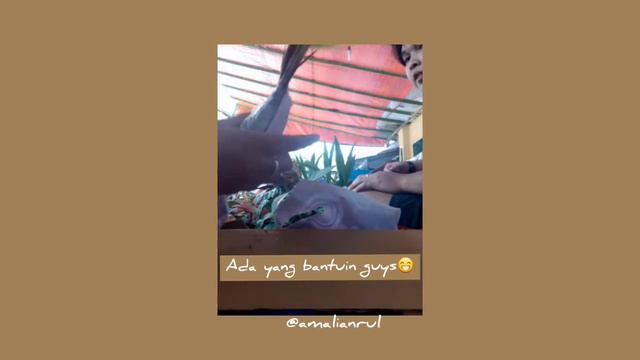 shopee haul tanaman hias part 2 + bagi bagi voucher смотреть онлайн