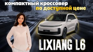 Самый бюджетный премиальный семейный кроссовер - гибрид Li L6