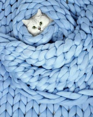 Доброе Утро☕️ С Добрым Утром И Хорошего Дня?