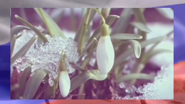 Проект Узденова Эльмара «Россия-Родина моя!» смотреть онлайн