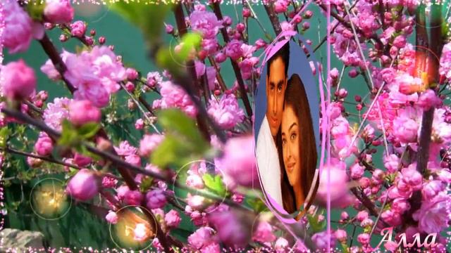 ПОСЛУШАЙТЕ ЭТУ УДИВИТЕЛЬНУЮ ПЕСНЮ ! БЕЛАЯ ЧЕРЕШНЯ ! смотреть онлайн